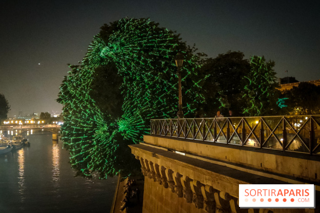 Nuit Blanche 2023 : des projections lumineuses magiques au Square du Vert Galant de l'Île de la Cité