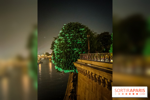 Nuit Blanche 2023 : des projections lumineuses magiques au Square du Vert Galant de l'Île de la Cité