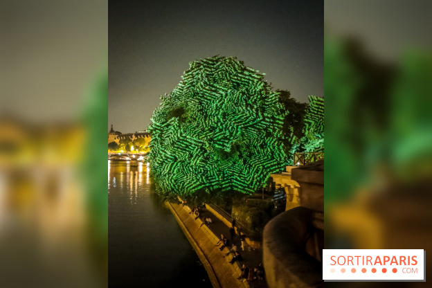 Nuit Blanche 2023 : des projections lumineuses magiques au Square du Vert Galant de l'Île de la Cité