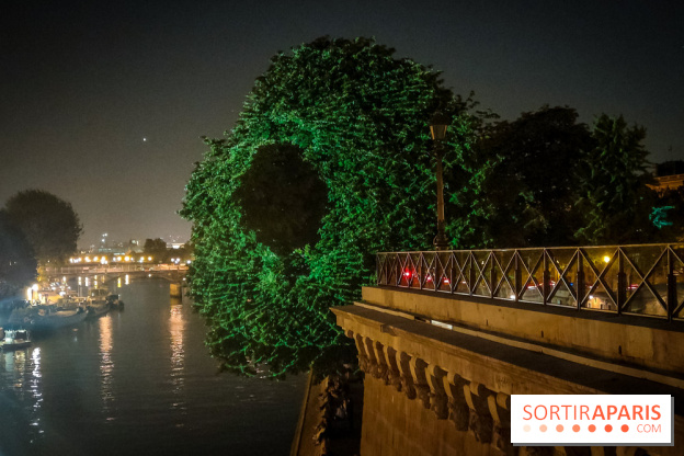 Nuit Blanche 2023 : des projections lumineuses magiques au Square du Vert Galant de l'Île de la Cité