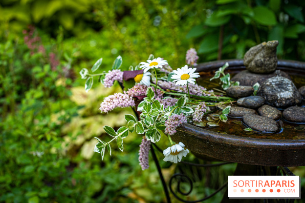 Les Jardins de Sonja au Perray-en-Yvelines -  A7C5023