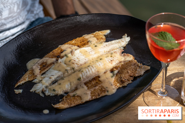Perchoir Y, restaurant par Guillaume Sanchez et guinguette en forêt -  A7C5807