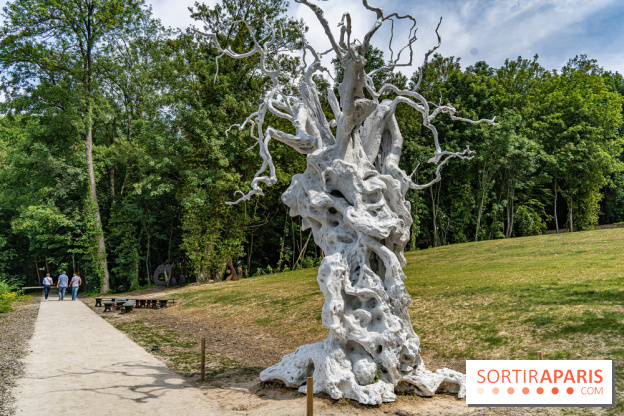 Perchoir Y, restaurant par Guillaume Sanchez et guinguette en forêt