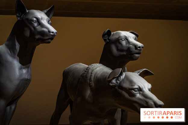 Exposition Ron Mueck à la Fondation Cartier 2023 -  A7C6436