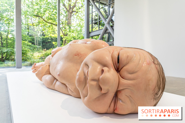 Exposition Ron Mueck à la Fondation Cartier 2023 -  A7C6378