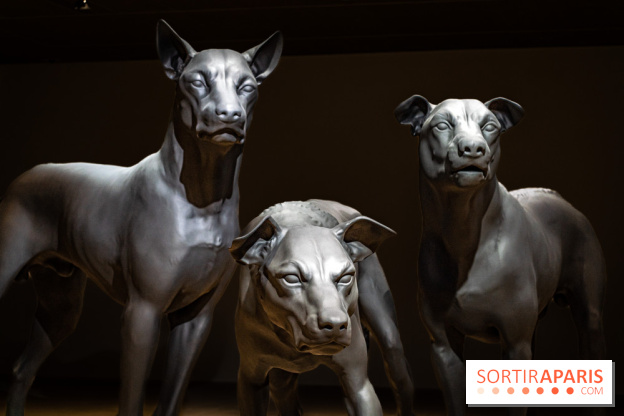 Exposition Ron Mueck à la Fondation Cartier 2023 -  A7C6437