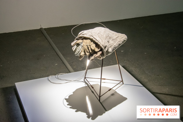 Expositions d'été au Palais de Tokyo Laura Lamiel