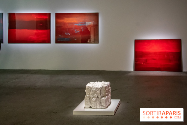 Expositions d'été au Palais de Tokyo Laura Lamiel