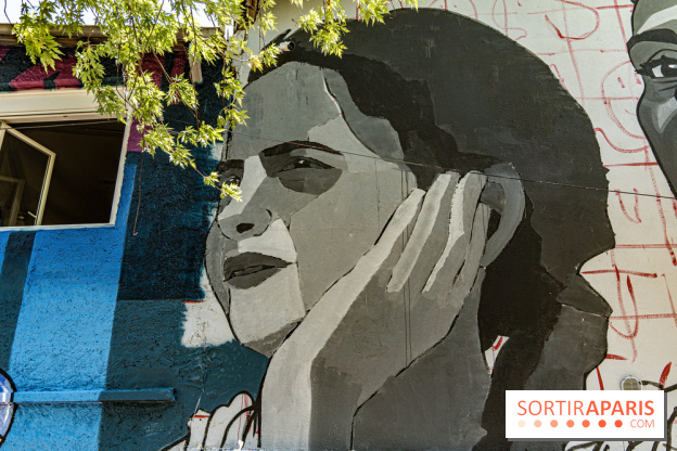 Street Art Avenue, l'expo street art le long du Canal Saint-Denis, d'Aubervilliers à Paris La Villette -  A7C6248