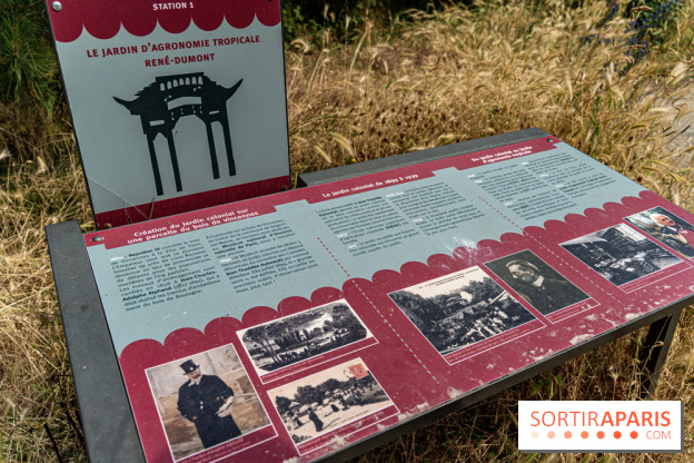 Jardin d'Agronomie Tropicale, le jardin exotique à Paris -  A7C6803