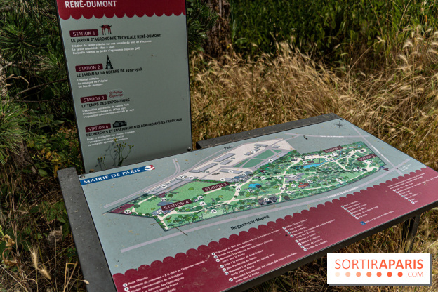 Jardin d'Agronomie Tropicale, le jardin exotique à Paris -  A7C6804