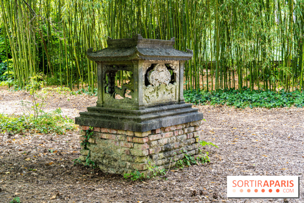 Jardin d'Agronomie Tropicale, le jardin exotique à Paris -  A7C6815