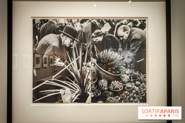 Frank Horvat : Paris, le monde, la mode : l'exposition photo se dévoile au Jeu de Paume