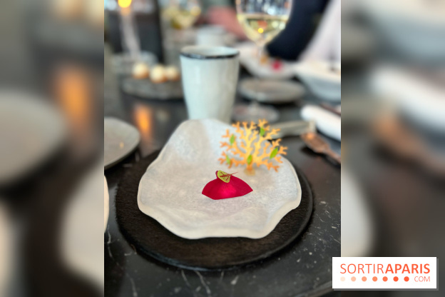 L'Ours - Amuse-bouche