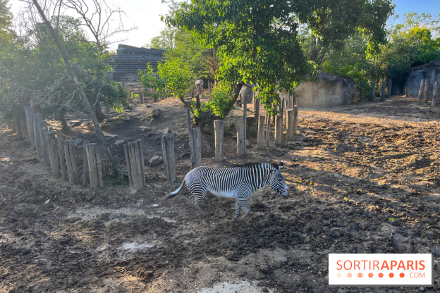 Nocturnes au Parc Zoologique de Paris - IMG 3487