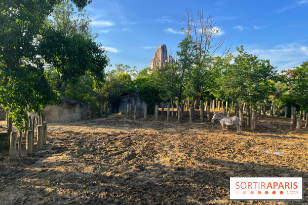 Nocturnes au Parc Zoologique de Paris - IMG 3495