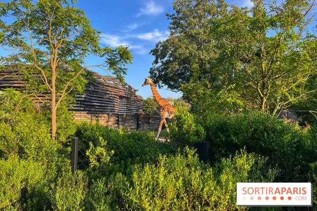 Fête de la Nature 2024 au Parc Zoologique de Paris - Sortiraparis.com