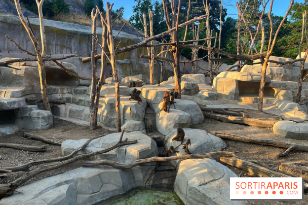 Nocturnes au Parc Zoologique de Paris - IMG 3517