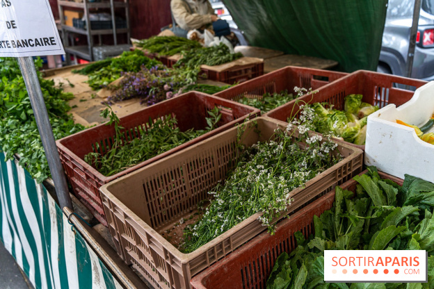 Escapade au Marché, le cours de cuisine du Ritz -  A7C5250