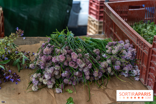 Escapade au Marché, le cours de cuisine du Ritz -  A7C5252