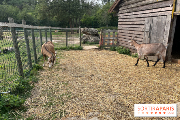 Base de loisirs de Saint-Quentin-en-Yvelines - Ile de loisirs de Trappes - activités - IMG 8641