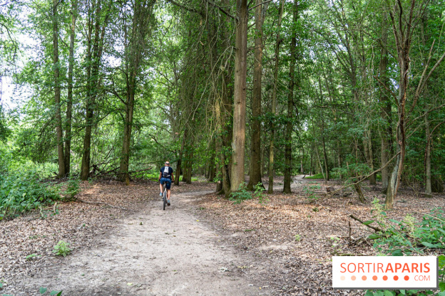 Base de loisirs de Saint-Quentin-en-Yvelines - Ile de loisirs de Trappes - activités -  A7C7367