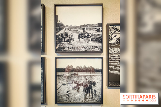 Paris Rive droite / Rive gauche : l'exposition photo autour de la Seine à la galerie Roger-Viollet  - IMG20230629093431
