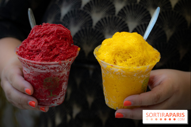 Granités-Neige de Jade Génin, l'Été Sous le Signe du Kakigori Réinventé -  A7C7553