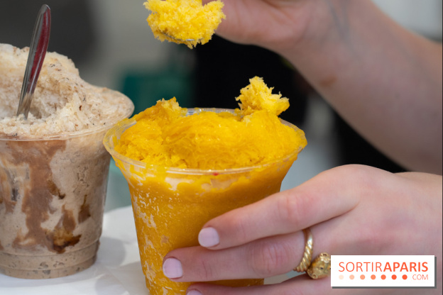 Granités-Neige de Jade Génin, l'Été Sous le Signe du Kakigori Réinventé -  A7C7575