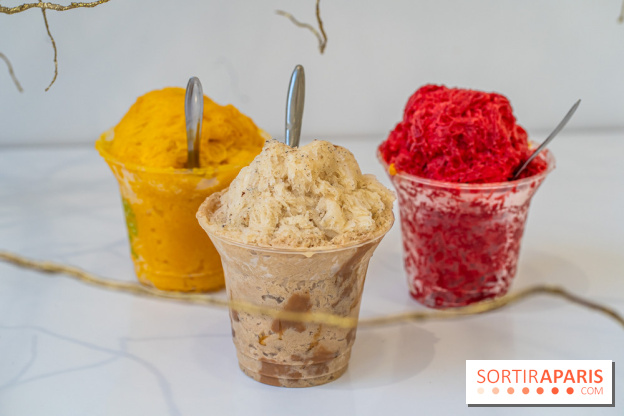 Granités-Neige de Jade Génin, l'Été Sous le Signe du Kakigori Réinventé -  A7C7560