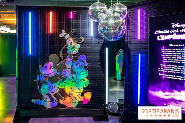 Disney 100 L'Amitié c'est Merveilleux