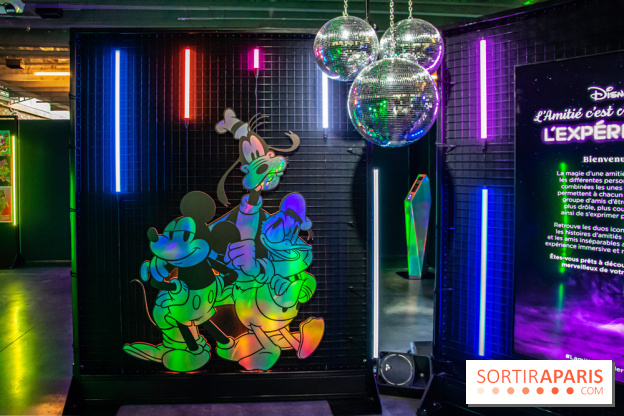 Disney 100 L'Amitié c'est Merveilleux