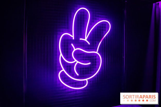 Disney 100 L'Amitié c'est Merveilleux