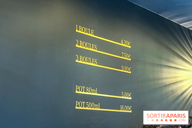 Le glacier Gérard Taurin à Paris - Meilleur Ouvrier de France - IMG 8723