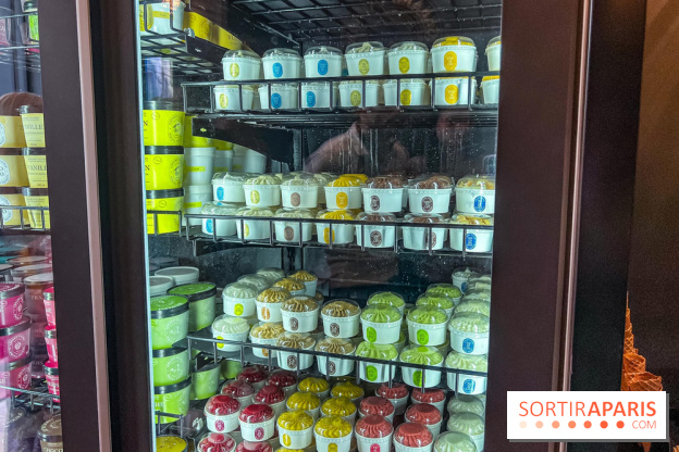 Le glacier Gérard Taurin à Paris - Meilleur Ouvrier de France - IMG 8726