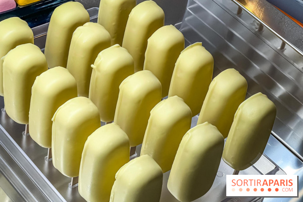 Le glacier Gérard Taurin à Paris - Meilleur Ouvrier de France - IMG 8728