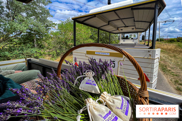 Fête de la Lavande sur le site Seine Aval Achères/Maisons-Laffitte - image00007