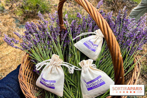 Fête de la Lavande sur le site Seine Aval Achères/Maisons-Laffitte - image00011