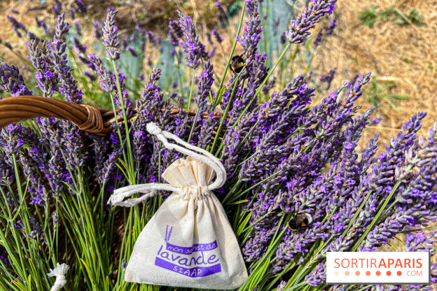 Fête de la Lavande sur le site Seine Aval Achères/Maisons-Laffitte - image00016