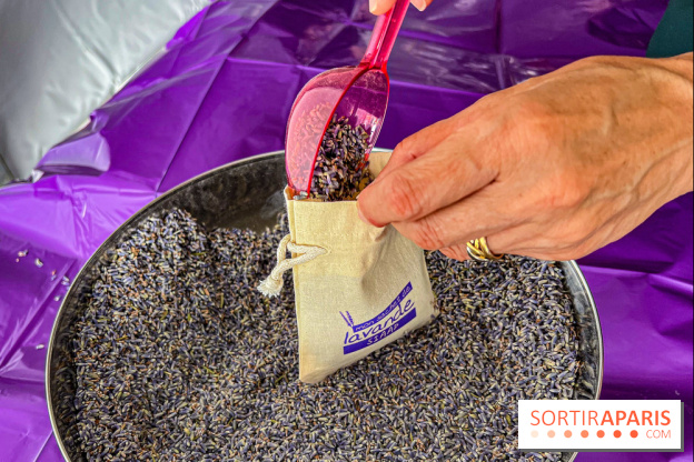 Fête de la Lavande sur le site Seine Aval Achères/Maisons-Laffitte - image00025