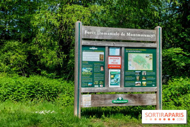Balade nature dans la forêt de Montmorency, nos photos