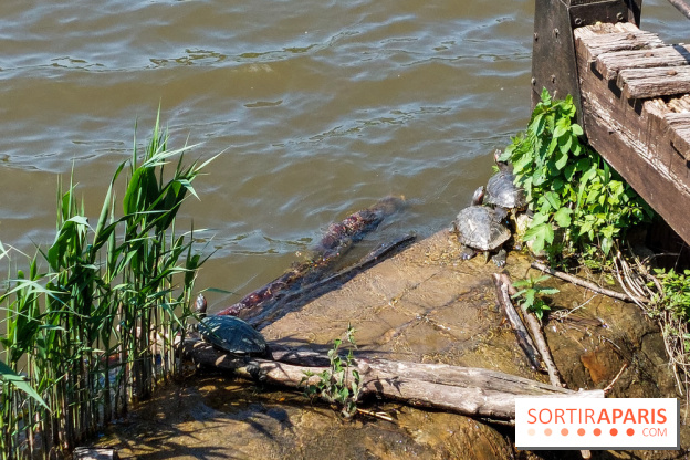 Balade nature dans la forêt de Montmorency, nos photos