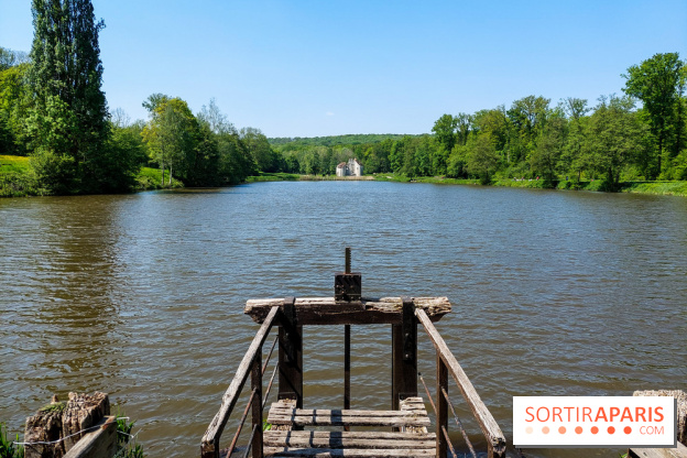 Balade nature dans la forêt de Montmorency, nos photos