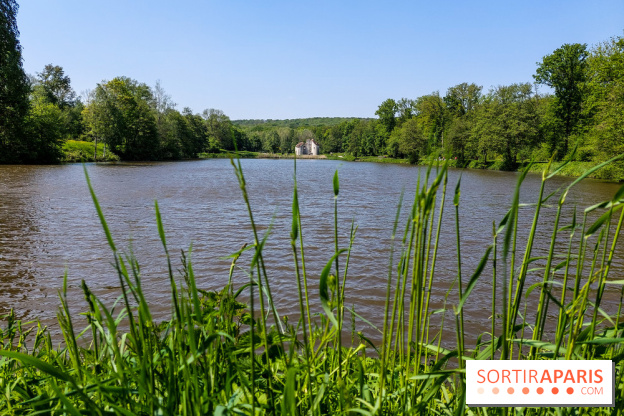Balade nature dans la forêt de Montmorency, nos photos