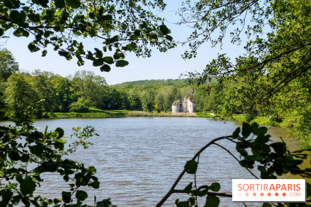 Balade nature dans la forêt de Montmorency, nos photos