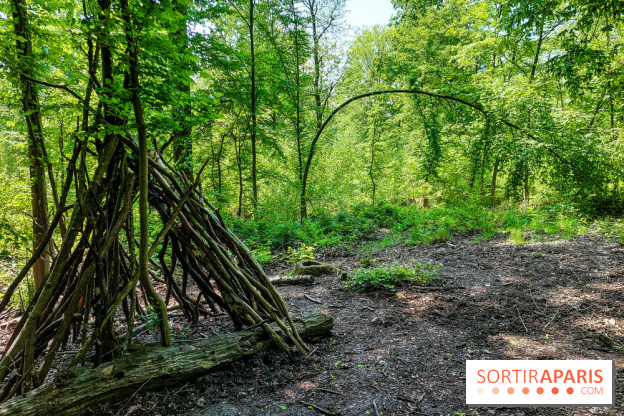 Balade nature dans la forêt de Montmorency, nos photos
