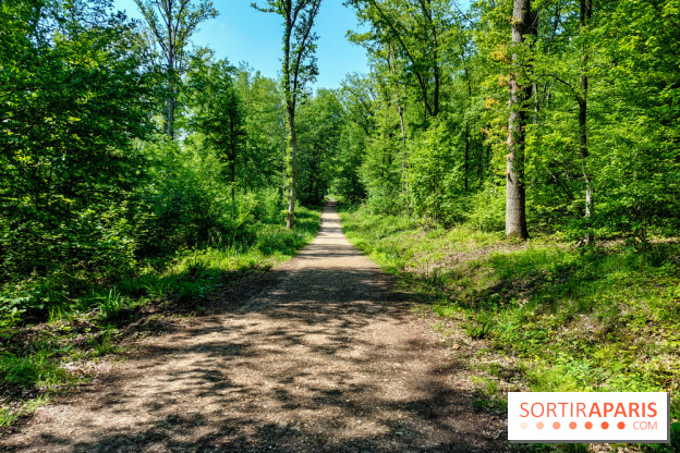 Balade nature dans la forêt de Montmorency, nos photos