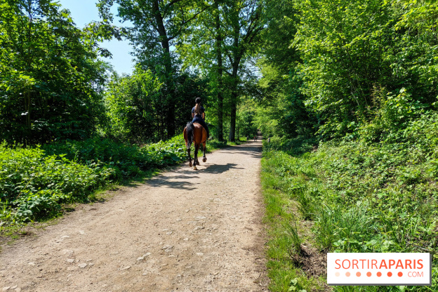 Balade nature dans la forêt de Montmorency, nos photos
