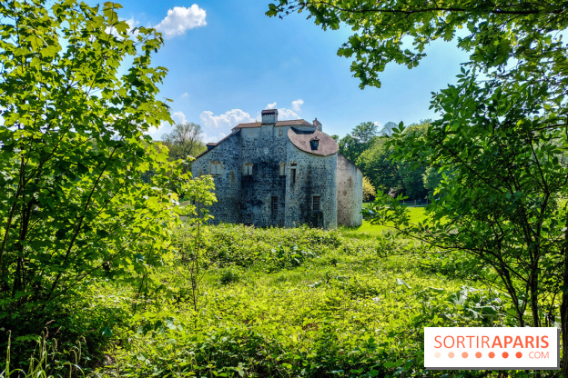 Balade nature dans la forêt de Montmorency, nos photos
