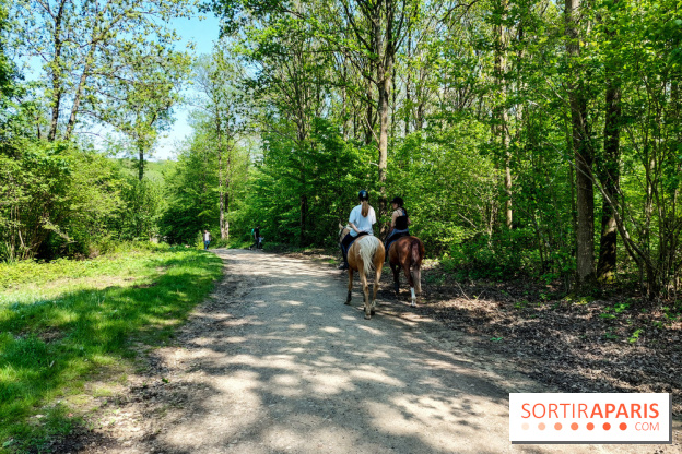 Balade nature dans la forêt de Montmorency, nos photos
